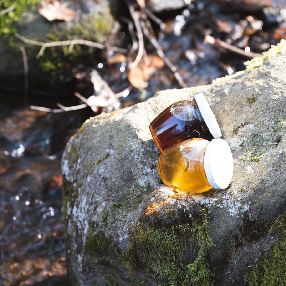 Jungle Honey - Jungle Brew Co.