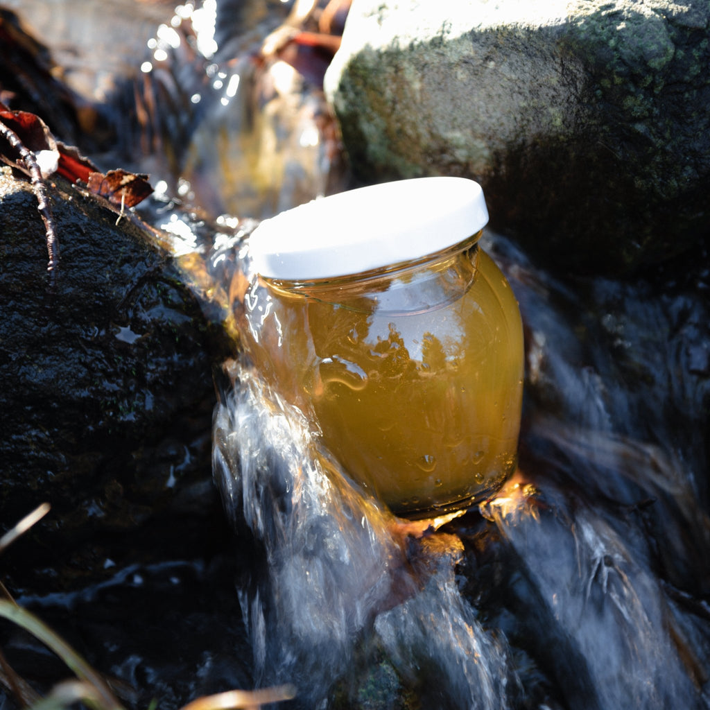 Jungle Honey - Jungle Brew Co.